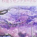 浄化