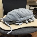 グソクムシ