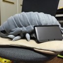 グソクムシ