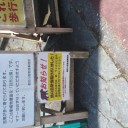 モダマス、三頭山、どらほー