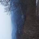 モダマス、三頭山、どらほー