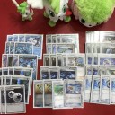 『グラシデア杯 in FIVE CARD 池袋本店』レポート