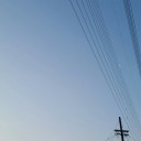 1年8ヶ月