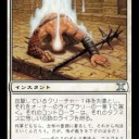 デッキメモ（2017/03/11 Dallas Classicモダン３位 Abzan Company）