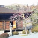 今年もいちご狩り行ってきました