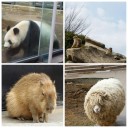 動物園