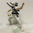 白いニンジャ