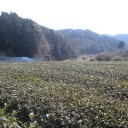 ３月２０日も三保の浜から富士山は見えませんでした