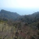 ３月２０日も三保の浜から富士山は見えませんでした