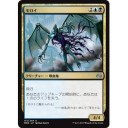 レアルトマト中央店モダマスドラフトレポ