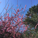 花束の話