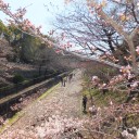 京都市動物園