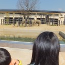 京都市動物園