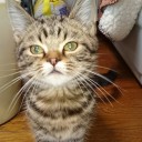 このところの出来事