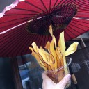 川越お花見
