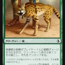 アモンケットは癒される...