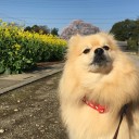 世界平和