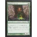 アモンケットフルスポ