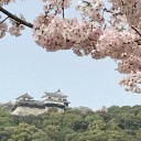 ４月の近況報告