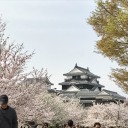 ４月の近況報告