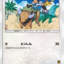 ケンタロス、ヤングース、デカグース
