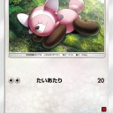 ヌイコグマ、キテルグマ