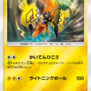 エレブー、エレキブル、カプ・コケコ