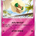モンメン、エルフーン、ネッコアラ