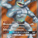 カイリキーGX、ルガルガンGX、ダークライGX