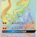 カプ・ブルルGX、エンニュートGX、カプ・レヒレGX