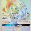 カプ・ブルルGX、エンニュートGX、カプ・レヒレGX