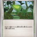 巨大植物の森