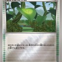 巨大植物の森