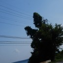 鼻毛と下着