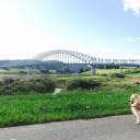 東北でよかった