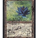 晴れる屋で売ってるサインいっぱいのBlack Lotus（β）