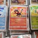 ポケモンカードゲーム　ジムバトル景品5月