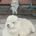 2017/04/29 晴れる屋モダン杯大会レポ