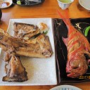 　普通の生活