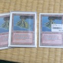 《Volcanic Island》再び！！！マジック買い物日記