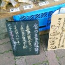 　最終日