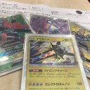 チャンピオンズリーグ愛知。クワガノンブルル。