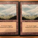 EDH　収穫の神，ケイラメトラ