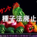 ここは・・・