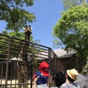 日記無精中。。