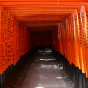 鳥居がいっぱい