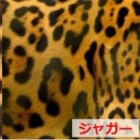 ネコ科なんだけどなぁ