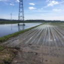田植え日和　３日目