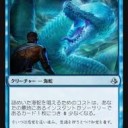 ＦＮＭ