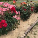 温泉の話